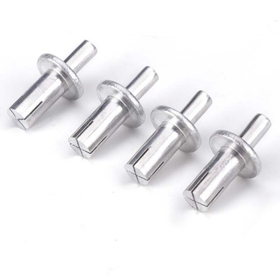 Universal Head Drive Rivets