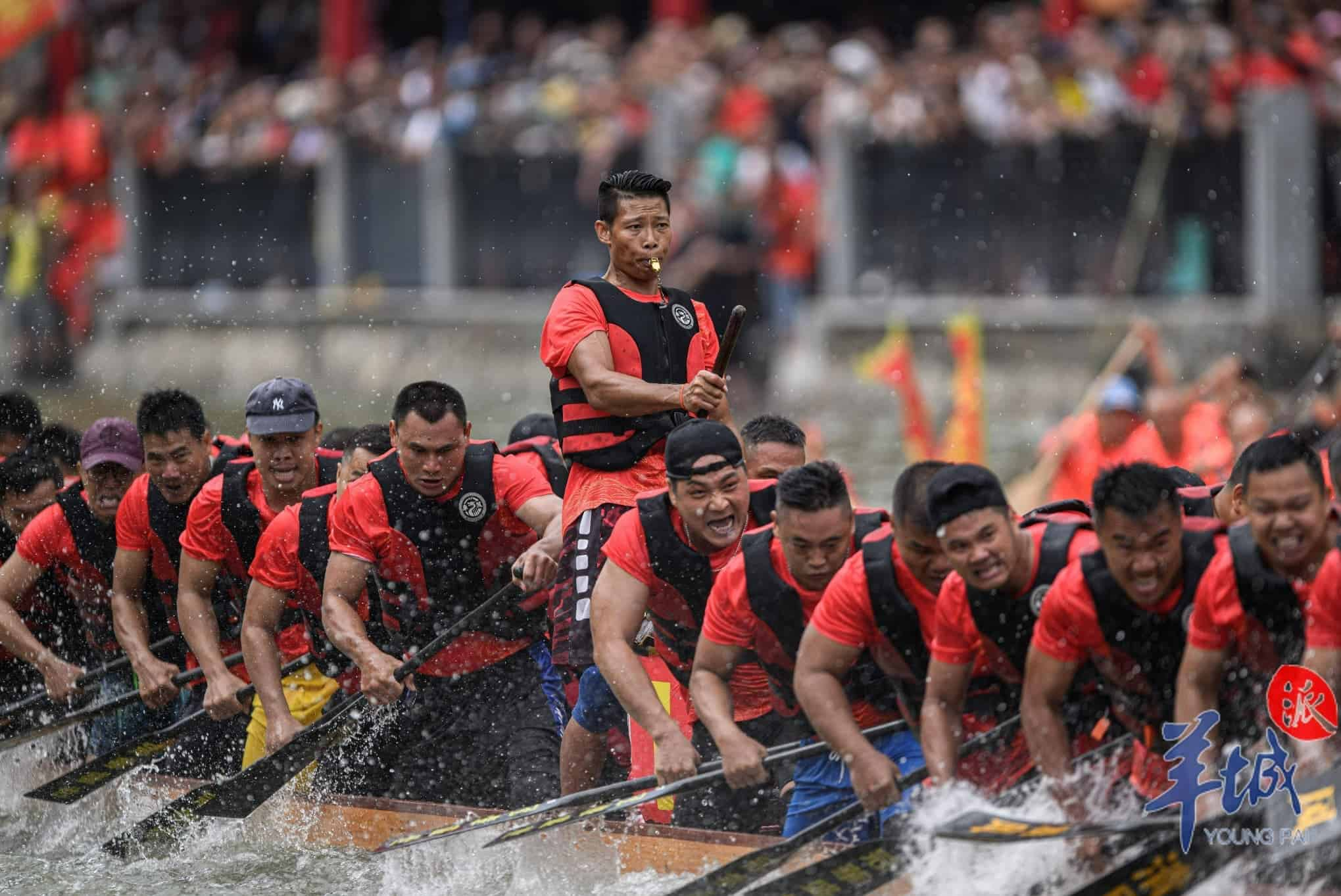 مهرجان قوارب التنين